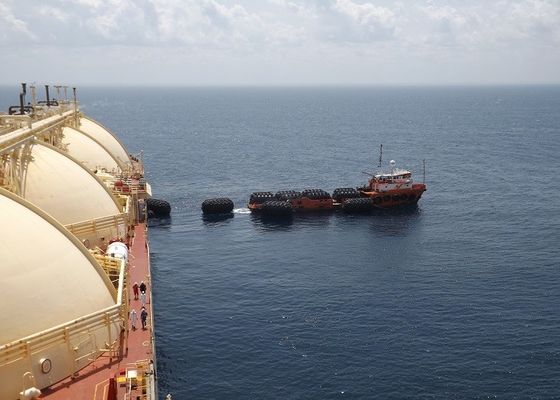 Jakość Nadmuchiwane gumowe błotniki Yokohama Marine dostosowane do wysyłki na statek fabryka