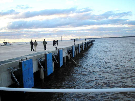 Jakość Gumowy błotnik typu stożkowego, gumowy błotnik łodzi stożkowej fabryka