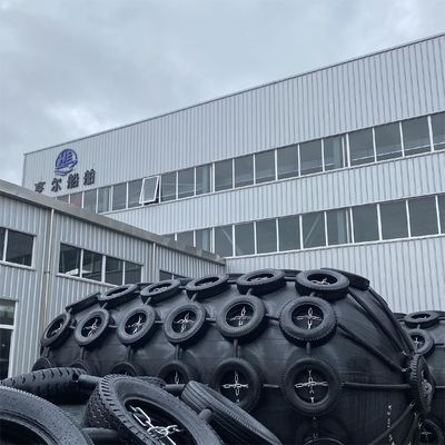 Jakość Two-year Warranty Pneumatic Rubber Fender 2.5*5.5M For Vessel Berthing fabryka