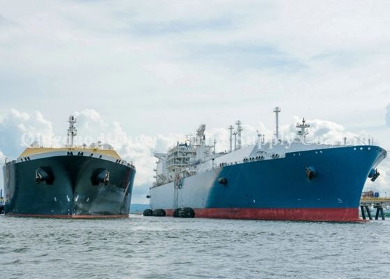 Jakość Certyfikacja CCS Odporny na ścieranie pneumatyczny morski błotnik z gumową rurką fabryka