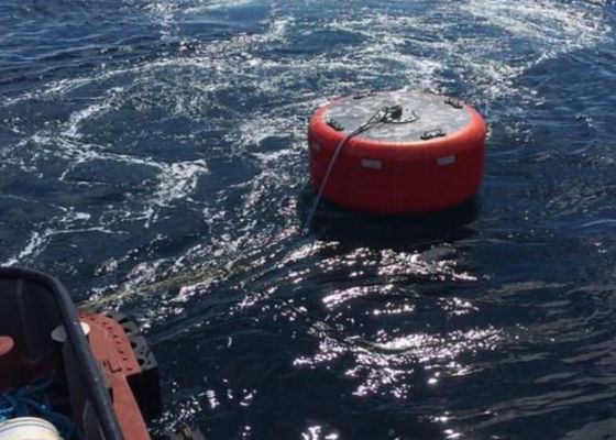 Jakość Statek do cumowania statków boja Materiał polietylenowy EVA o wysokiej wydajności fabryka