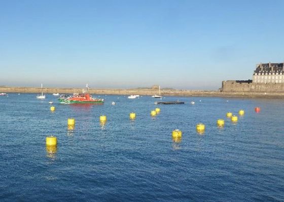 Jakość 100 kg Pocieplane boje cumownicze, statek boje cumownicze z obsługą łańcucha fabryka