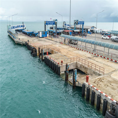 Jakość H200 * L800 Morski gumowy błotnik Błotnik typu D do statku 2 lata gwarancji fabryka