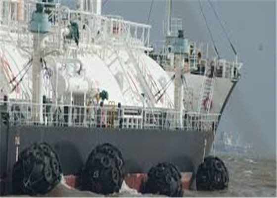 Jakość 3.3m 50kPa 80kPa Gumowy błotnik do ochrony łodzi fabryka