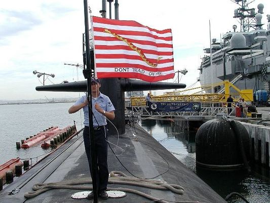 Jakość Typ Ⅵ Hydropneumatyczny błotnik Typ okrętów wojennych Pneumatyczna gumowa opona łańcuchowa błotnika fabryka