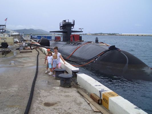 Jakość Typ Ⅵ Hydropneumatyczny błotnik Typ okrętów wojennych Pneumatyczna gumowa opona łańcuchowa błotnika fabryka
