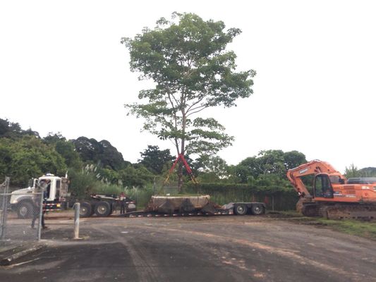 Jakość Morski statek gumowy uruchamiający poduszki powietrzne Suchy dok uruchamiający statek podnoszący fabryka