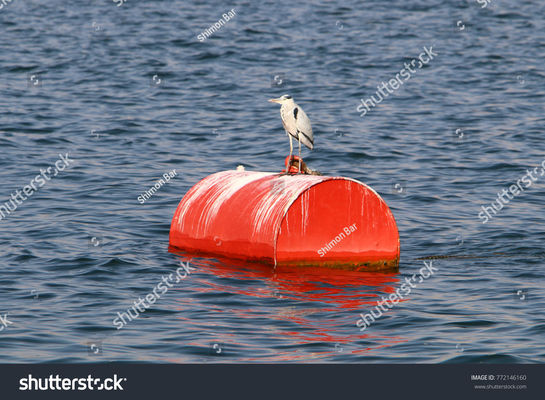 Jakość Stalowa pojedyncza łódź Pływająca nadwyżka Morska boja cumownicza wypełniona pianką wielofunkcyjna fabryka