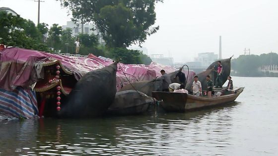Jakość Morski ponton hydropneumatyczny błotnik gumowy pływający błotnik łodzi fabryka